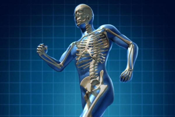 Bone-Healthy-Health-Skeleton-Human-Men-Anatomy