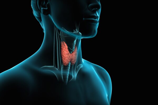 Thyroid